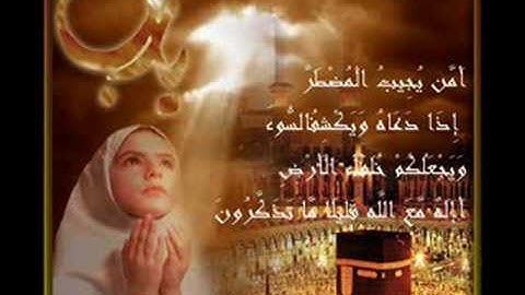 تلاوة للشيخ ابو حاتم المنذري