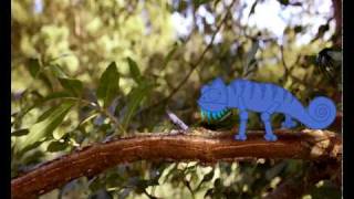 Demoreel Kantin Fovet 2010