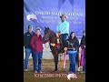 Sold Jolie Pearl 2018 Purebred Arabian Mare 
