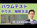 バウムテストのやり方と解釈方法｜プロが解説