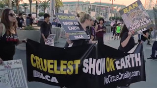 Ringling Bros.' Last Show On Earth!