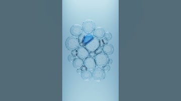 #3d #art #3danimation #3dart #blender #bubbles #clothes #softbodyphysics