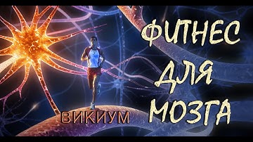 Викиум - фитнес для мозга!