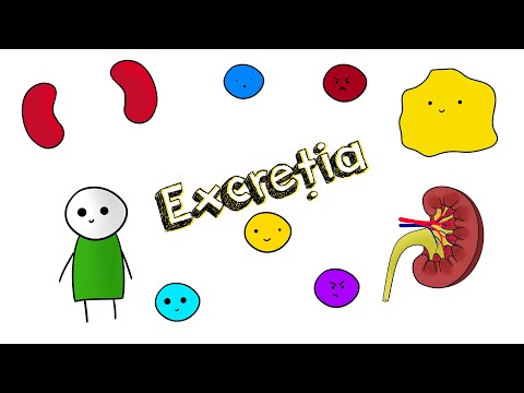 Excreția