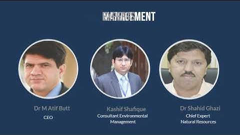 Global GeoSoft: Revolutionizing GIS and WebGIS Solutions