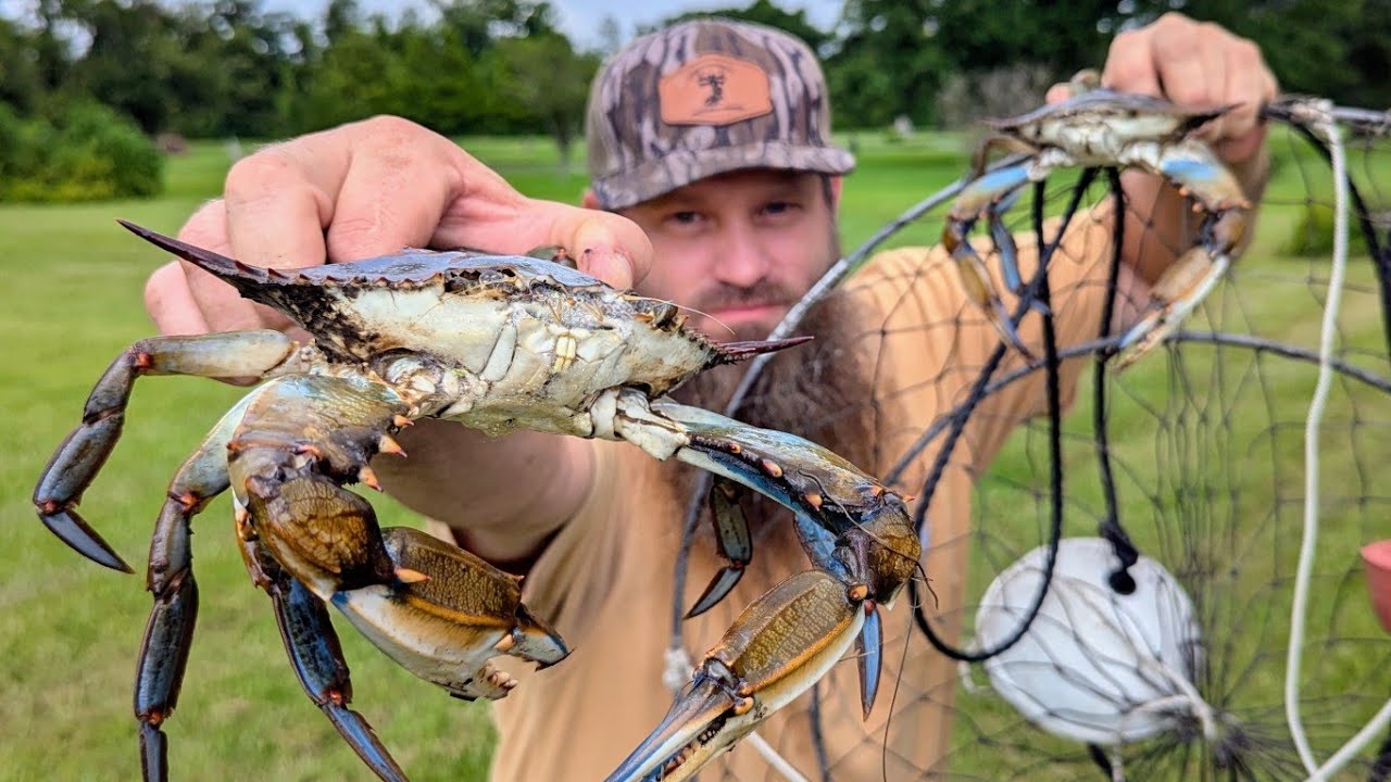 HOW TO Build The ULTIMATE DIY Net & Catch Blue Crab For Cooking A Seafood Feast!! (CATCH*COOK)