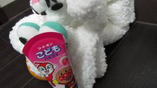 ライオン こどもハミガキ 大人の感想 レビュー