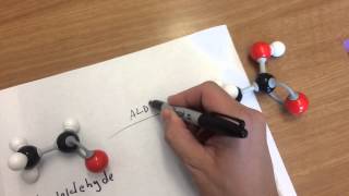 Ethanol: Molecular structure and metabolism