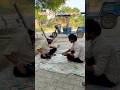 लालच बुरी बला है 😂😂 #funny #viral #shorts #youtube #lalach #naveencomedyclub