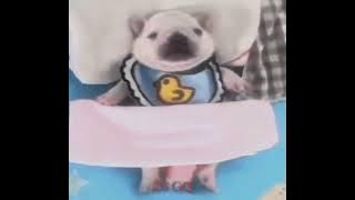 January 1, 8373733883757586BC￼