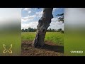 Walks at Croome Park - Worcestershire, Uk