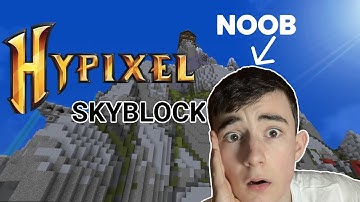 The Hypixel SkyBlock Noob Experience
