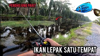 Casting Haruan | GASAK HARUAN DIPENGHUJUNG PARIT | AJIKING ATOM MAX | Vlog358 screenshot 3