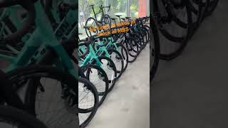 All shapes and sizes of bikes in stock at MBS near Baltimore Maryland!