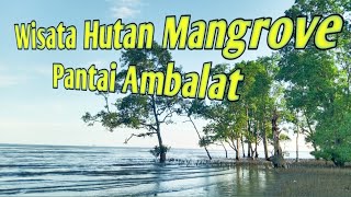 Wisata Hutan Mangrove Pantai Ambalat