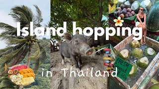 Backpacking SEA diaries: South of Thailand 🇹🇭🌺 (Koh Phangan, Koh Tao, Koh Samui)