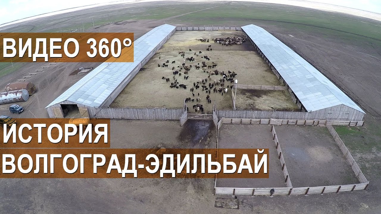 Ооо виста волгоград