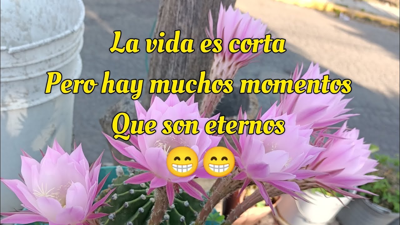 Respondiendo pregunta!! 