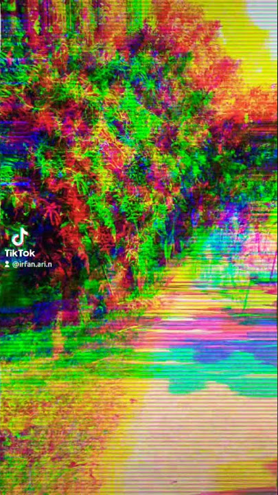 Kujelang hari - Denada
