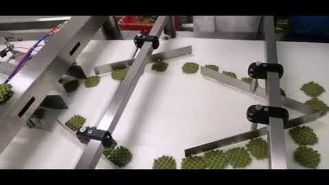 Waffles biscuits packaging solutions flow wrap machine automatic sorting and feeding line