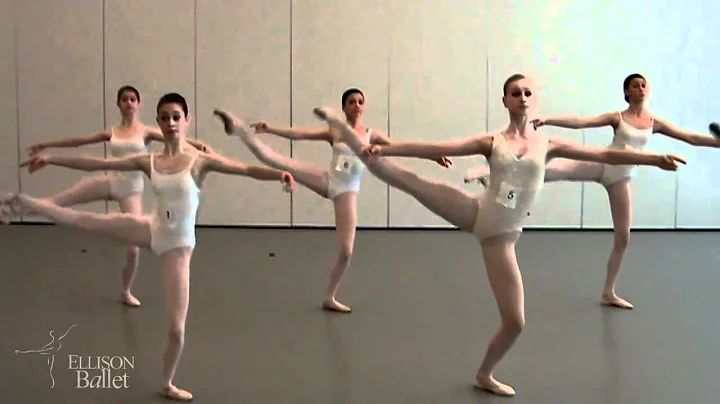 Brittney Feit -- Ellison Ballet PTP 2010 graduate ...