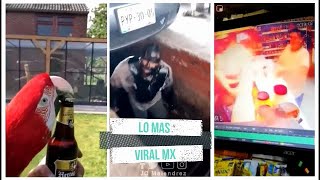 malos amigos  | bromas manchadas a amigos | ⚠ Lo Mas Viral MX⚠