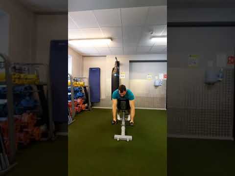 Dumbbell incline bench I+Y+T raises