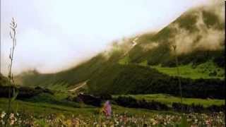 India, Valley of Flowers // Lex van Someren - Northernsky