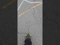 Chill ride on eboards from Wintergreen Gorge