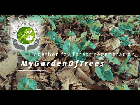 MyGardenOfTrees: a European participatory science project for climate resilient future forests