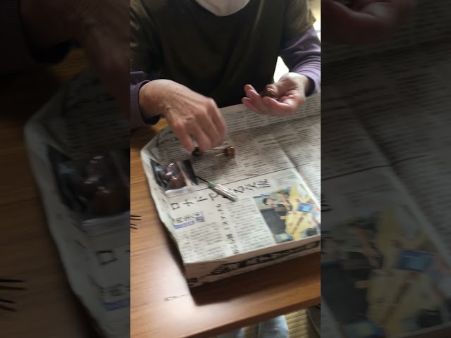 どんぐりコマ回しNEW!