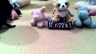 Capture 20110925 2