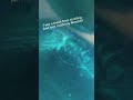 Sorry I haven’t been posting🙃| #foryou #shortsvideo #tiktokviral #needohs #takeabreak