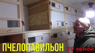 Пчелопавильон из нового материала / 79 семей / (Светлячок).