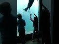 Sea Lion Tamer at Buffalo Zoo!