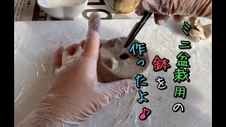 【盆栽用の手作り鉢①】ダイソーのオーブン粘土でミニ盆栽用の鉢を作ったよ♪Bonsai