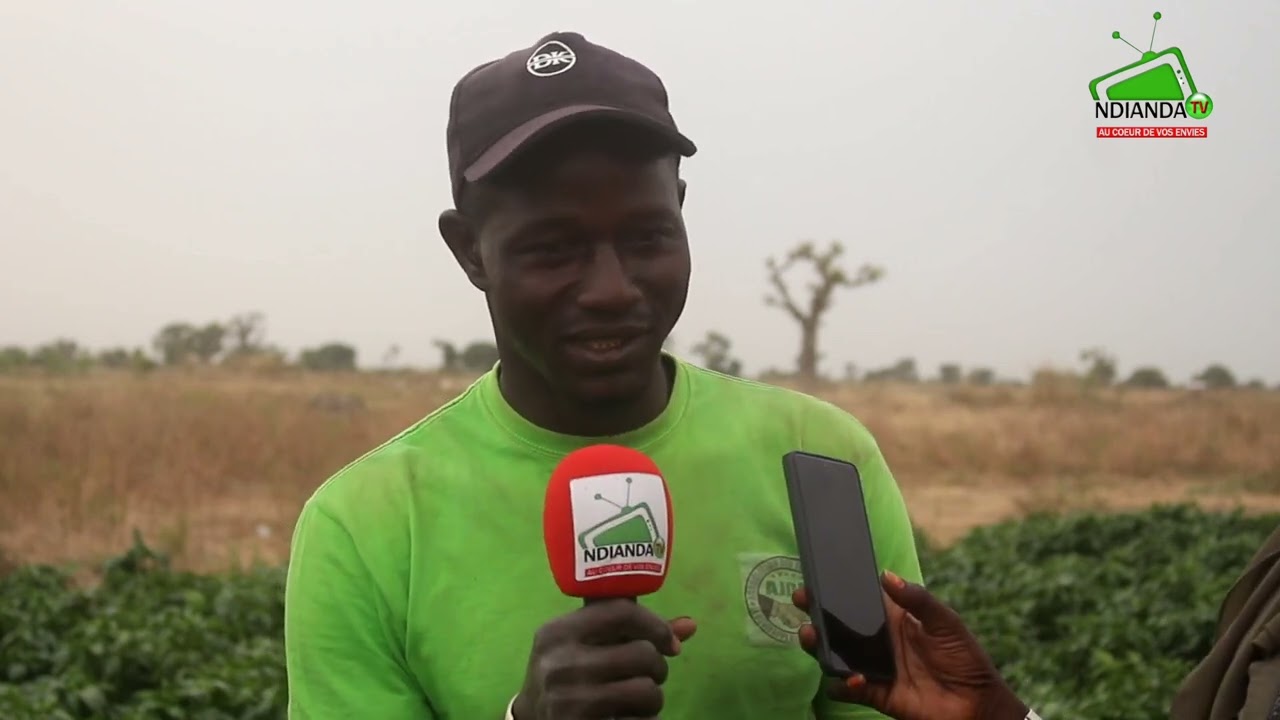 À la rencontre de quelques jeunes maraîchers à Ndianda