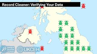 Record Cleaner 5: Verifying Your Data