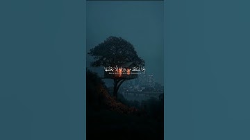 أكتب شئ تؤجر عليه| سورة الأنعام الايه 59 القارئ ياسر الدوسري 🎧#راحة_نفسية #المصحف #duet #الايك