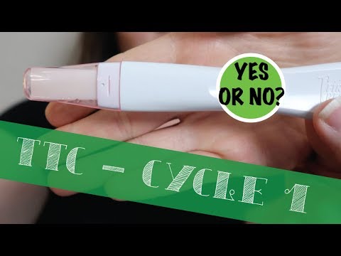 CYCLE 1 LIVE PREGNANCY TEST RESULTS | TTC AFTER INFANT LOSS | The Hebert House