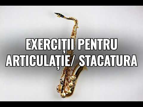 Exercitii pentru ARTICULATIE (stacatura dubla)