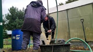 видео: Ручное гидробурение скважины. Злая абиссинка. картинка: Ручное гидробурение скважины. Злая абиссинка.