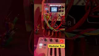 Having fun with Pamela’s Pro Workout and Plaits modular synth mutableinstruments bitbox zoia