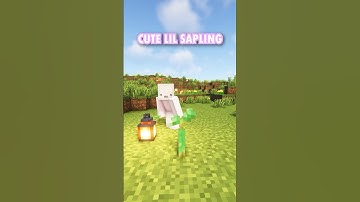 NAME this Minecraft Tree Sapling