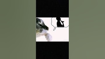 This Is the Best Player In MW3 (2011) | #funny #memes #modernwarfare3 #cod #callofduty #bulun #mw3