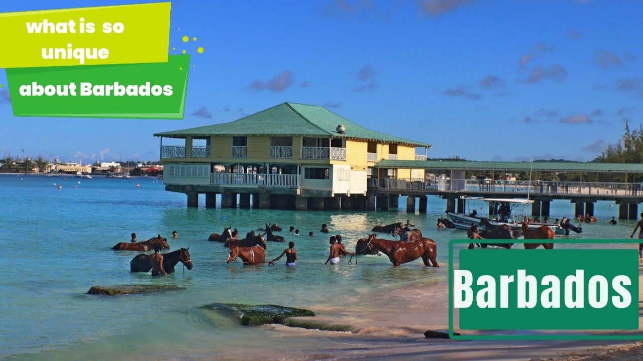 Unleashing the hidden Gems of Barbados. What is so Unique about
