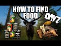 A Guide on How to Find Food in DayZ... (PC/PS4/Xbox)