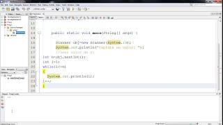 Ejercicio con ciclo while, en Java.