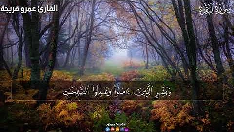 الجزء الاول من القرآن الكريم بصوت القارئ عمرو فريجة