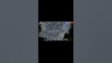 یَـٰۤأَیهَا ٱلنّاسُ ٱتّقُوا۟ رَبَّكُم إِنَّ زَلزَلَةَ ٱلسّاعَةِ شَیءٌ عَظِیمࣱ🥺| تلاوة خاشعة | حالات